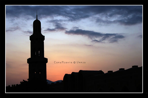 صور من ابداع اعضاء عمان فوتو