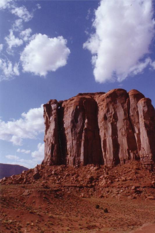 صور منوعة من الإنترنت