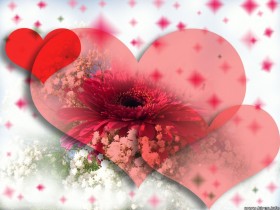 love-heart-red-flower-31000