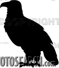 UNS_010