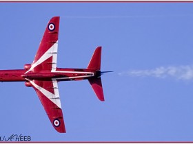 صور من ابداع اعضاء عمان فوتو