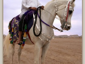 صور من ابداع اعضاء عمان فوتو