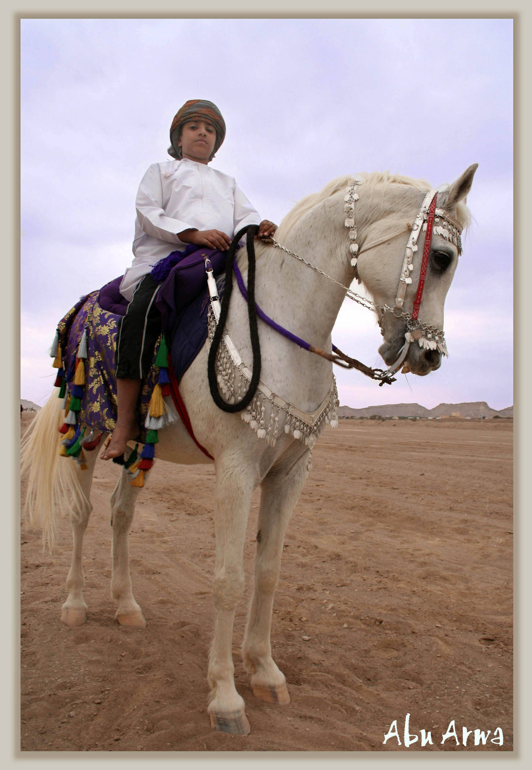 صور من ابداع اعضاء عمان فوتو