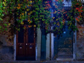 صور منوعة من الإنترنت
