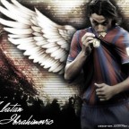 zlatanibrahimovic