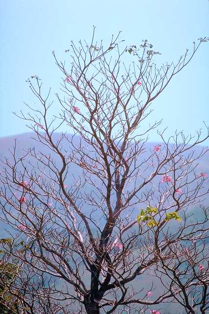 w6w20060429013114fa4e665a_1_