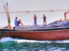 صور من ابداع اعضاء عمان فوتو