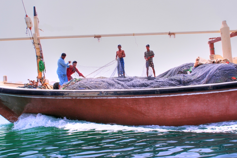صور من ابداع اعضاء عمان فوتو