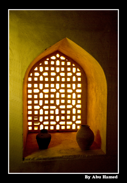 صور من ابداع اعضاء عمان فوتو