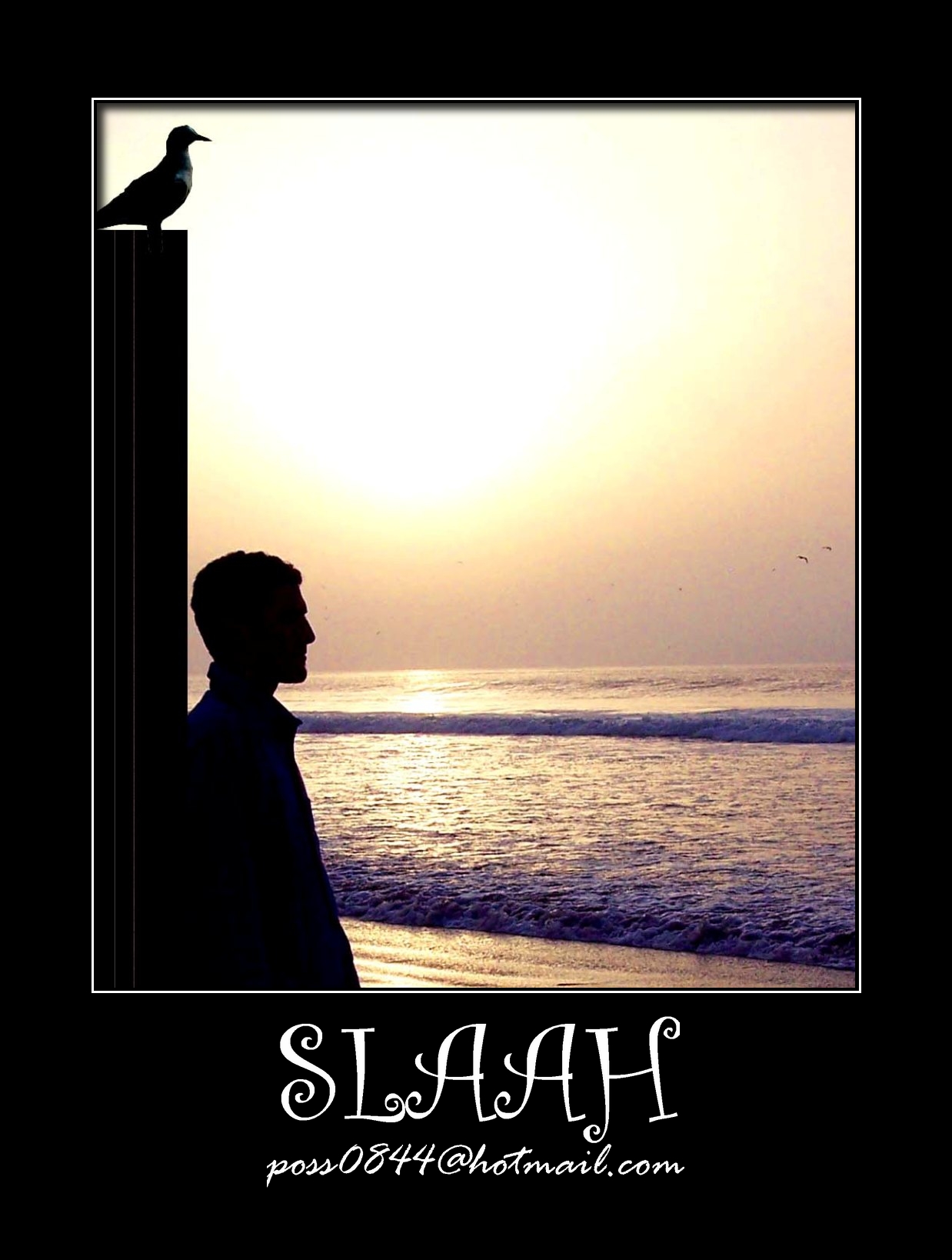 صور من ابداع اعضاء عمان فوتو