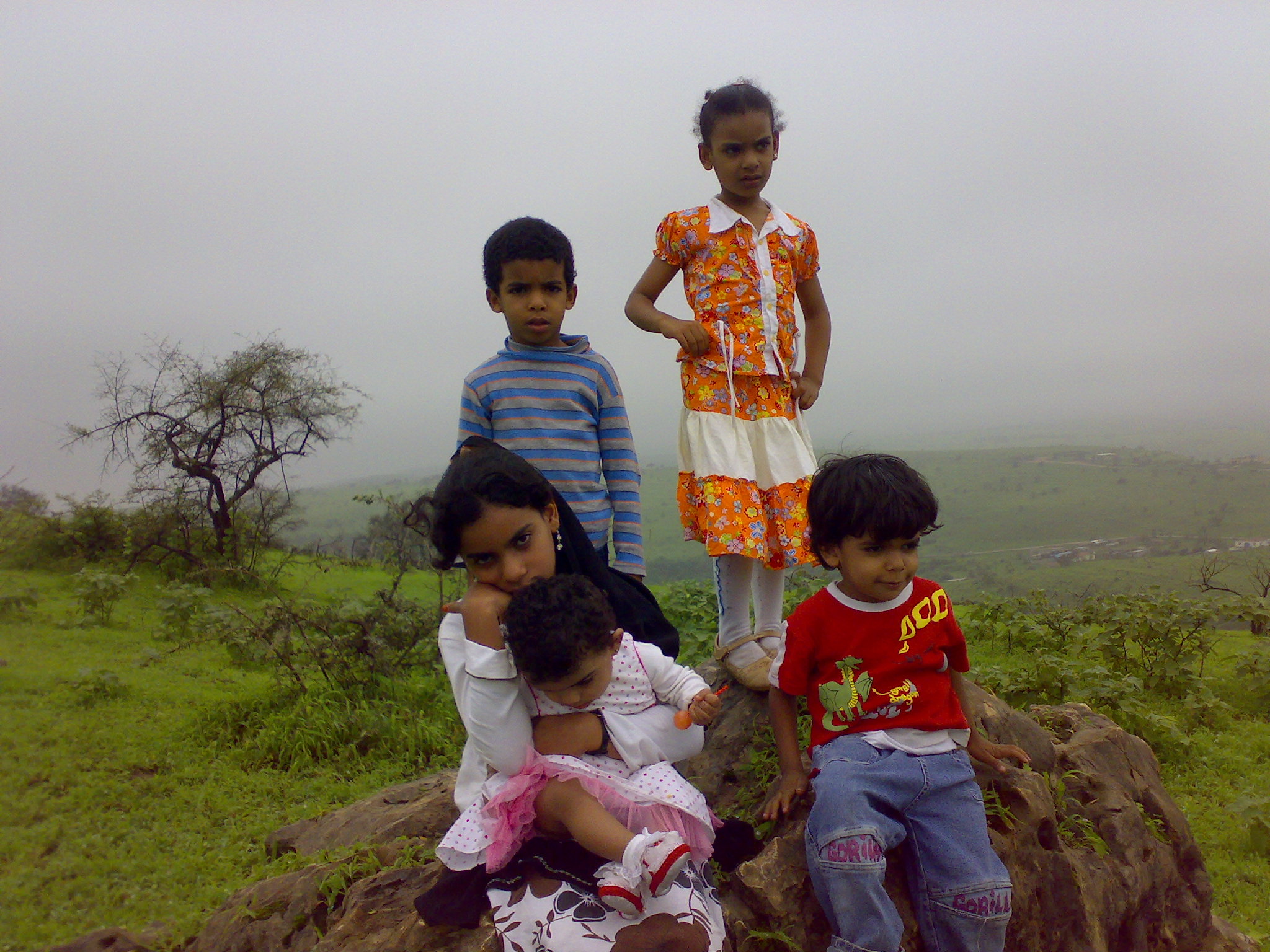 20080808586