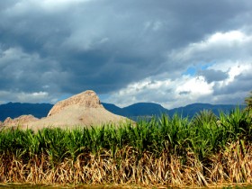 صور من ابداع اعضاء عمان فوتو
