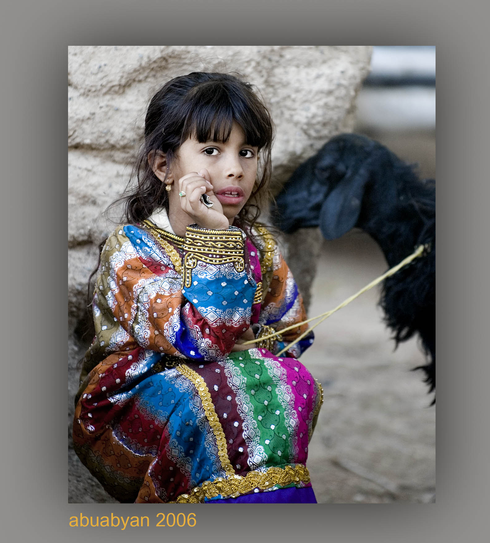 صور من ابداع اعضاء عمان فوتو