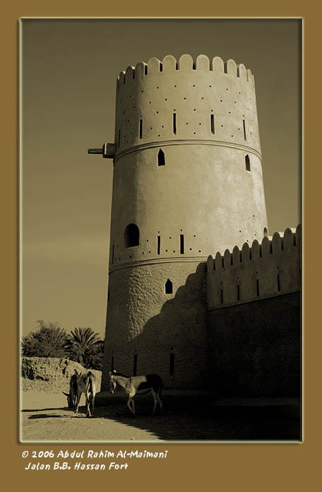 صور من ابداع اعضاء عمان فوتو
