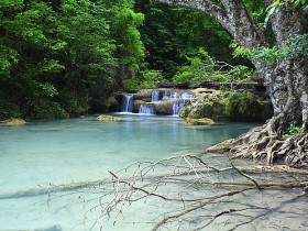 صور من ابداع اعضاء عمان فوتو