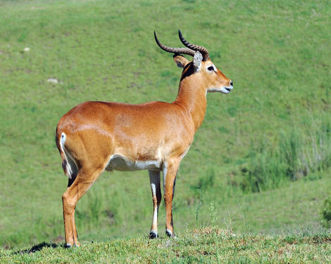 صور منوعة من الإنترنت