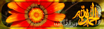 بطاقات إسلامية