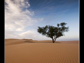 صور من ابداع اعضاء عمان فوتو