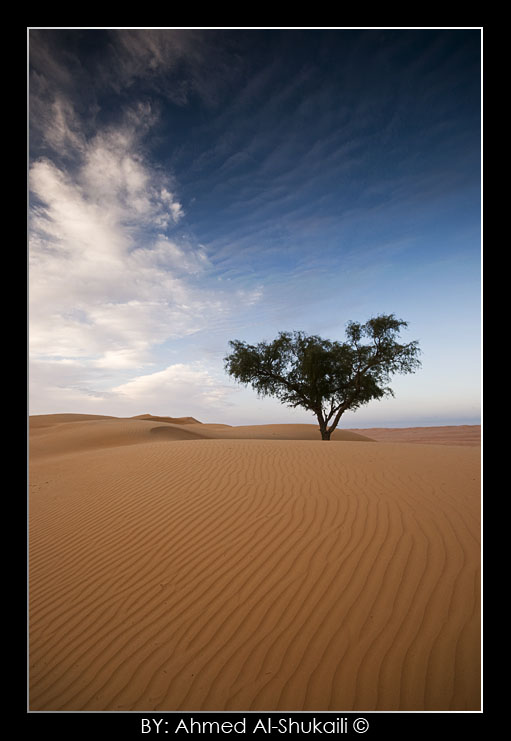 صور من ابداع اعضاء عمان فوتو