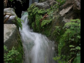 صور من ابداع اعضاء عمان فوتو