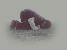 46277_gif