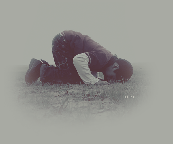 46277_gif