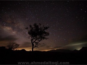 Screen_shot_2010-11-20_at_3_54_04_PM