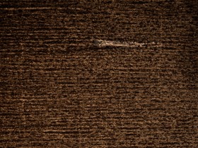 royalty free stock photo brown grunge texture