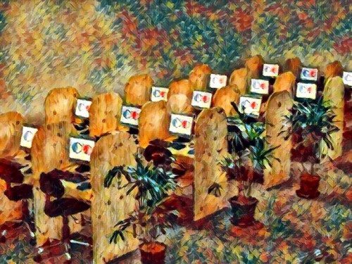 7lnL9.jpg