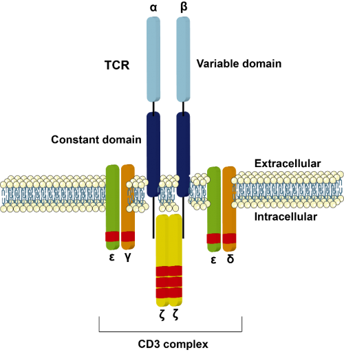 bv2Sy.png