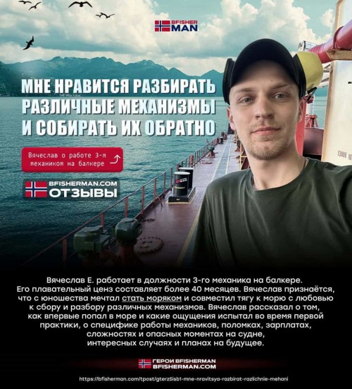 msiN3.jpg
