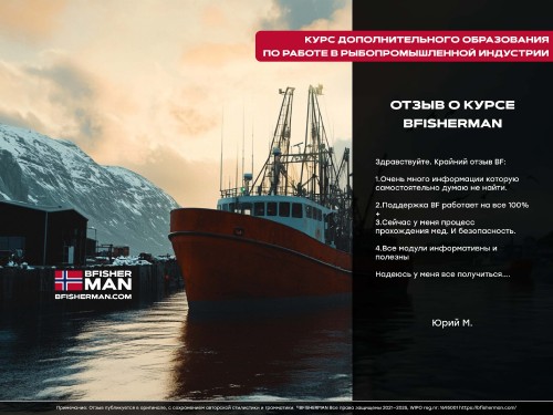 mPyG4.jpg
